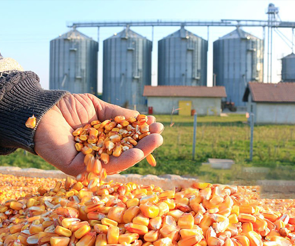 Galvanized Grain Storage Silo